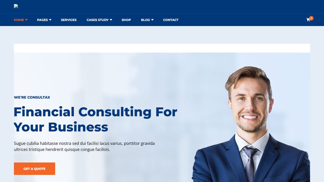 Consultax theme preview