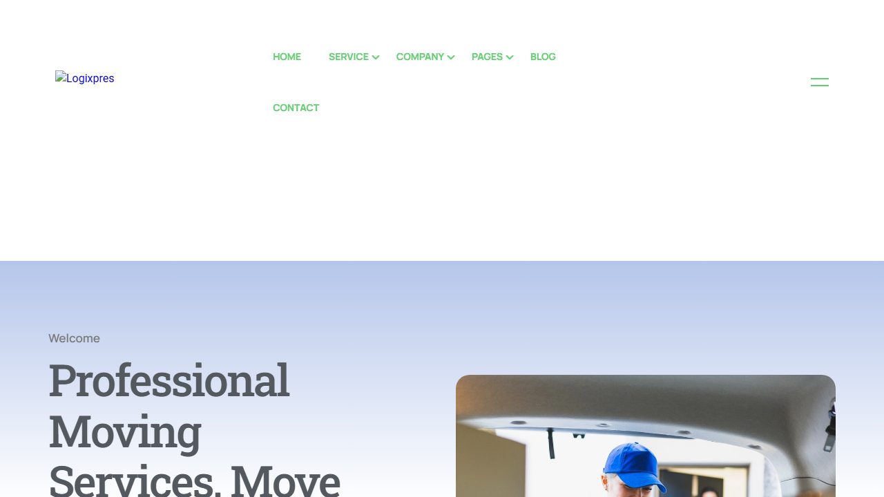 Logixpress theme preview